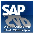 SAP Training zu ABAP, JAVA und WebDynpro