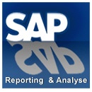 SAP Reporting und Analyse Trainings