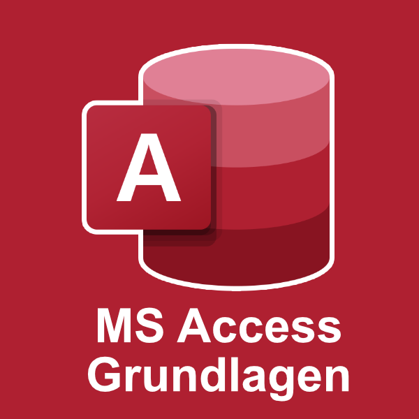 MS Access Datenbankentwicklung Grundlagen Schulung 