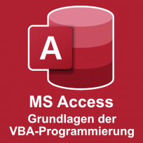 MS Access VBA-Programmierung Grundlagen Schulung