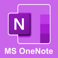 MS OneNote