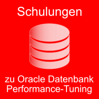 Oracle Datenbank Performance Tuning
