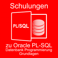 Oracle PL-SQL Datenbankprogrammierung Grundlagen