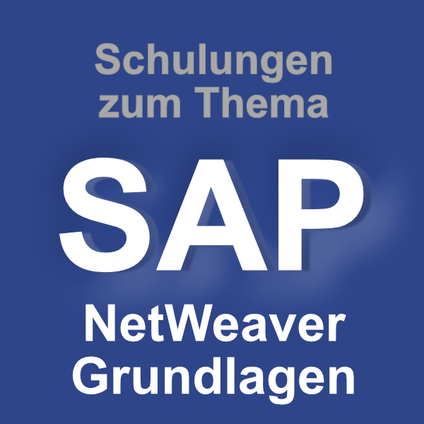 SAP NetWeaver Grundlagen