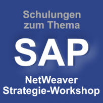 SAP NetWeaver Strategie Workshop