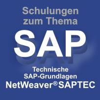 SAP Grundlagen SAPTEC