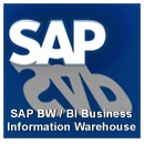 SAP Training BW/BI Business Information Warehouse
