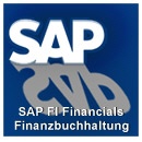 SAP FI Training Finanzbuchhaltung