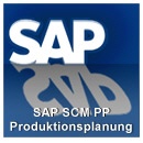 SAP Training SCM PP Produktionsplanung