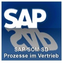 SAP Training SCM SD Prozesse im Vertrieb