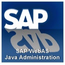 SAP Training WebAS Java Administration