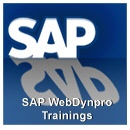 SAP WebDynpro Trainings